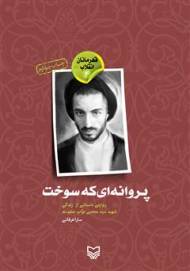 پروانه‌ای که سوخت