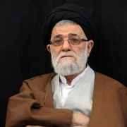 سیدهاشم رسولی محلاتی